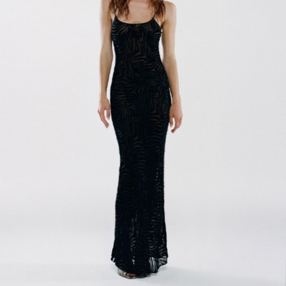 REALISATION PAR - The amber in Zebra